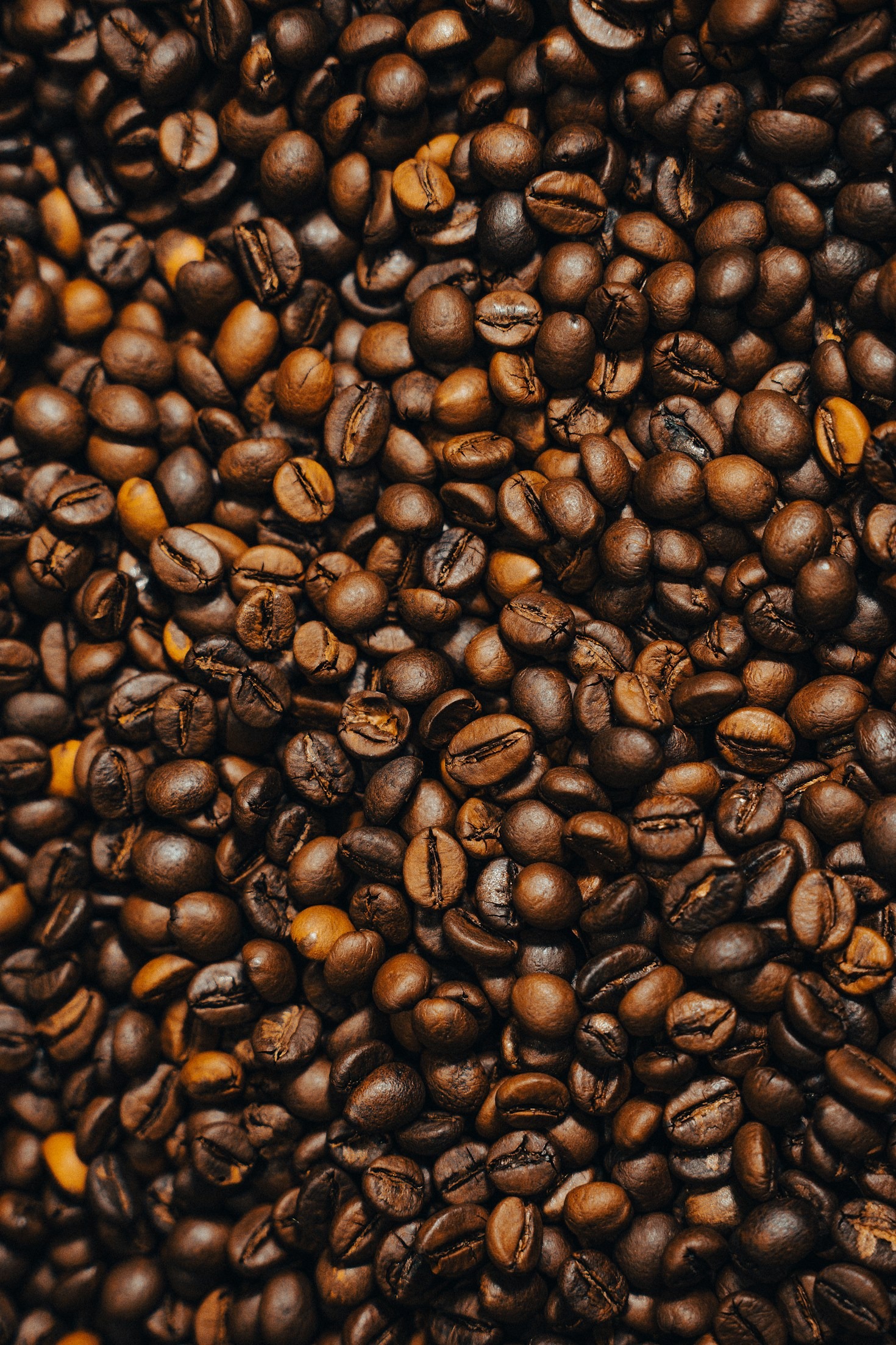 How Fresh Coffee Beans Transform Your Morning
